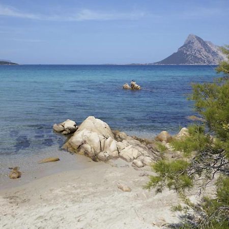 Appartamento Mare Sardegna Porto San Paolo Порто-Сан-Паоло Экстерьер фото